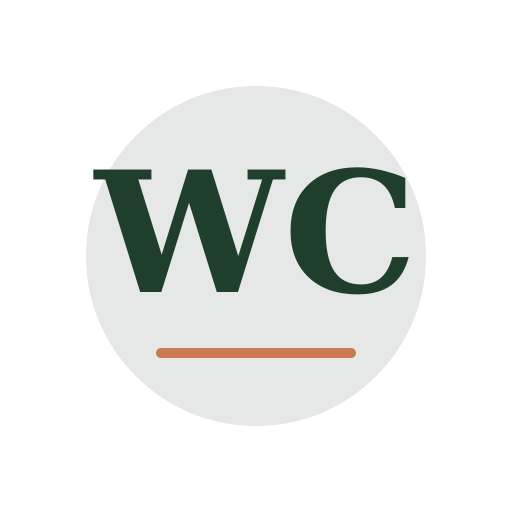 West Chimney Repair logo